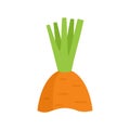 Garbage carrot icon flat isolated vector