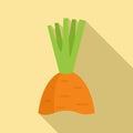 Garbage carrot icon, flat style