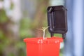 In the garbage classification, the red trash can model containing harmful garbage opens the lid to grow buds