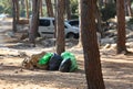 Garbage collection in the forest