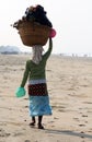 Garbage collector on the beach of Goa