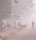 A garbage collector of India in a foggy weather on the road