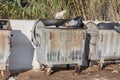 Garbage container in Greece Royalty Free Stock Photo