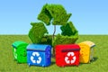 Garbage containers around tree in the shape of recycle sign in g Royalty Free Stock Photo