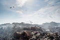 Garbage dump area view full of smoke, litter, plastic bottles,rubbish and other trash at the Thilafushi local tropical island Royalty Free Stock Photo