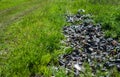 Garbage dump of burnt glass bottles on a green grass field
