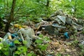 Garbage dump in the forest illegal dumping of garbage violates the ecology of the world Royalty Free Stock Photo