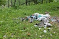 Garbage dump in forest. Plastic and food waste concept