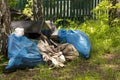 Garbage dump under the trees on the outskirts of the forest. Ecology, environmental pollution. Royalty Free Stock Photo