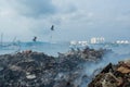 Garbage dump zone full of smoke, litter, plastic bottles,rubbish and other trash at the Thilafushi tropical island