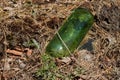 Glass bottle thrown in the forest. The problem of ecology and nature pollution. trash in the forest. Royalty Free Stock Photo