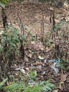 Garbage in the forest .Nature pollution Royalty Free Stock Photo