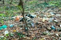 Garbage in the forest. Nature pollution.