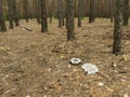 Garbage in forest. People illegally thrown garbage into forest. Concept of man and nature. Royalty Free Stock Photo