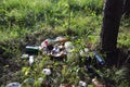 Garbage in forest. People illegally thrown garbage into forest