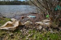 Garbage, glass and plastic bottles on the river bank. Spring. Environmental problem, environmental pollution Royalty Free Stock Photo