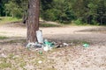 Garbage heap in the forest, environmental pollution Royalty Free Stock Photo