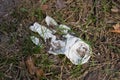 Garbage left in the forest. Plastic bottles littering forest are Royalty Free Stock Photo