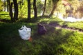 Garbage left by vacationers on the shore of the lake in the grass in plastic garbage bags. Pollution of nature. Non