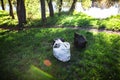 Garbage left by vacationers on the shore of the lake in the grass in plastic garbage bags. Pollution of nature. Non