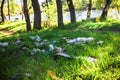 Garbage left by vacationers on the shore of the lake in the grass. Pollution of nature. Non-recyclable waste in