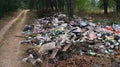 Garbage in nature. rubbish thrown in the forest. environmental pollution. dump in the forest.