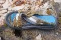 garbage from one colored old dirty plastic sandal Royalty Free Stock Photo