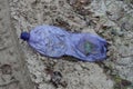 Garbage from one dirty lilac plastic bottle