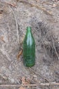 garbage from one dirty old glass green bottle Royalty Free Stock Photo