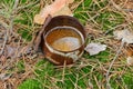 Garbage from one rusty brown metal tin can with water Royalty Free Stock Photo