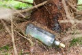 Garbage pile in autumn forest. Toxic plastic into nature everywhere. Rubbish heap in park among fallen yellow leaves. Contaminated