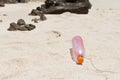 The garbage  plastic bottle was litter on sand beach Royalty Free Stock Photo