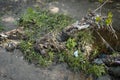 garbage, plastic bags and waste on industrial city river after spring flood Royalty Free Stock Photo
