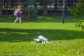 Garbage in a public park on green grass