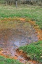 Garbage puddle Royalty Free Stock Photo