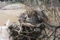 The Garbage in river stream after Waterflood. Royalty Free Stock Photo