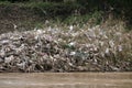 The Garbage in river stream after Waterflood. Royalty Free Stock Photo