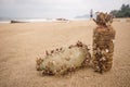 Garbage in the sea affecting marine lives