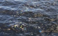 Garbage in the sea. Ecological problem. Trash in sea water. Plastic bags in ocean. Ecological problem. Urban seaside pollution Royalty Free Stock Photo