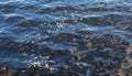 Garbage in sea water. Plastic trash in ocean. Ecological problem. Urban seaside pollution Royalty Free Stock Photo