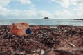 garbage on the seashore, plastic bottles close-up. The concept Royalty Free Stock Photo