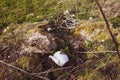 Garbage thrown in a meadow next to the forest