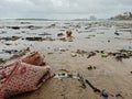 Litter on the beach washed by waves