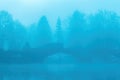 Garbage truck crossing the old stone bridge at Bohinj lake at foggy winter morning