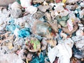 Garbage heap waste garbage-pile trash rubbish dump litter dirty solid-rubbish scrap refuse plasticbags waste-material debris image