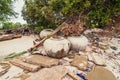 Garbage and wastes on the beach Royalty Free Stock Photo