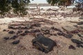 Garbage and wastes on the beach Royalty Free Stock Photo