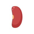 Garbanzo kidney bean icon flat isolated vector