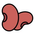 Garbanzo kidney bean icon color outline vector