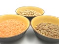 Garbanzos lentils and red lentils